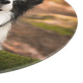 Niedliche Kleintiere | Schwarz-Weiß-Border-Collie Schneidebrett (Ecke)