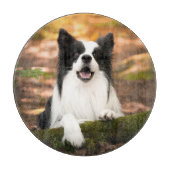 Niedliche Kleintiere | Schwarz-Weiß-Border-Collie Schneidebrett (Vorderseite)