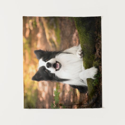 Niedliche Kleintiere | Schwarz-Weiß-Border-Collie Wandteppich (Vorderseite)