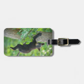 Niedliche Kleintiere | Schwarzbärenkuppe Gepäckanhänger (Vorderseite horizontal)