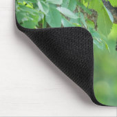 Niedliche Kleintiere | Schwarzbärenkuppe Mousepad (Ecke)