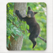 Niedliche Kleintiere | Schwarzbärenkuppe Mousepad (Vorne)