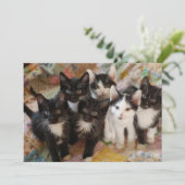 Niedliche Kleintiere | Schwarze und weiße Kätzchen Dankeskarte (Stehend Vorderseite)