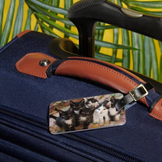 Niedliche Kleintiere | Schwarze und weiße Kätzchen Gepäckanhänger (Vorderseite Insitu 3)