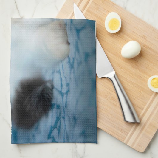 Niedliche Kleintiere | Schwarze und weiße Kätzchen Geschirrtuch (Viertel Falte)