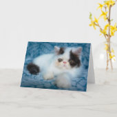 Niedliche Kleintiere | Schwarze und weiße Kätzchen Karte (Gelbe Blume)