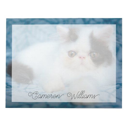 Niedliche Kleintiere | Schwarze und weiße Kätzchen Notizblock (Vorderseite)