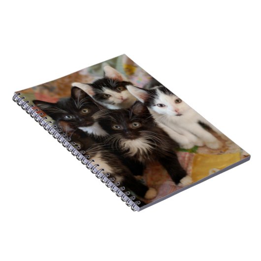 Niedliche Kleintiere | Schwarze und weiße Kätzchen Notizblock (Rechte Seite)
