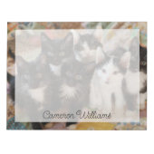 Niedliche Kleintiere | Schwarze und weiße Kätzchen Notizblock (Vorderseite)