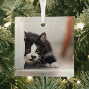 Niedliche Kleintiere Schwarze und weiße Kätzchen Ornament Aus Glas