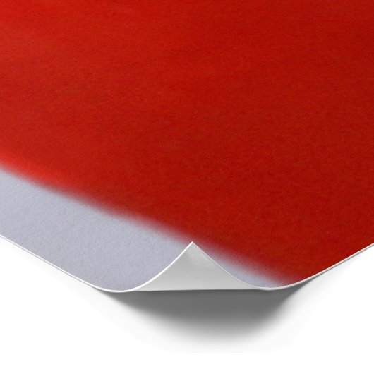 Niedliche Kleintiere | Schwarze und weiße Kätzchen Poster (Ecke)