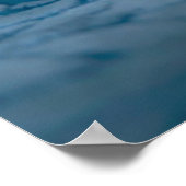 Niedliche Kleintiere | Schwarze und weiße Kätzchen Poster (Ecke)