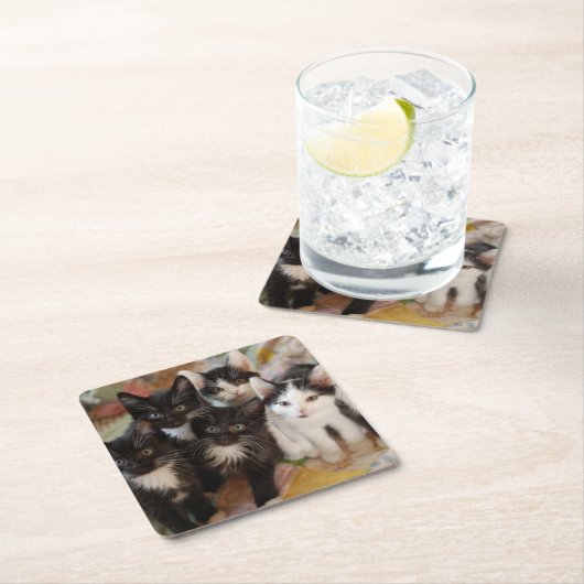 Niedliche Kleintiere | Schwarze und weiße Kätzchen Rechteckiger Pappuntersetzer (Vor Ort)