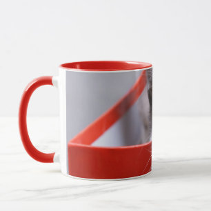 Niedliche Kleintiere Schwarze und weiße Kätzchen Tasse