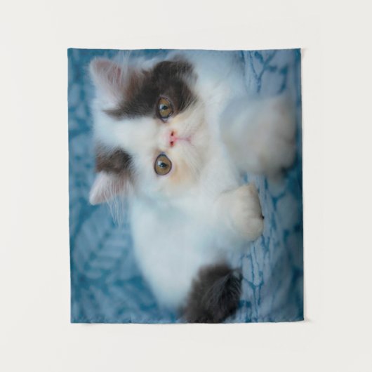 Niedliche Kleintiere | Schwarze und weiße Kätzchen Wandteppich (Vorderseite)