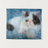 Niedliche Kleintiere | Schwarze und weiße Kätzchen Wandteppich (Vorderseite (Horizontal))