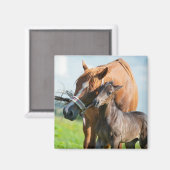 Niedliche Kleintiere | Schwarzer Fohlen mit Mama Magnet (Vorderseite/Rückseite)
