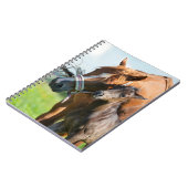 Niedliche Kleintiere | Schwarzer Fohlen mit Mama Notizblock (Linke Seite)