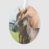 Niedliche Kleintiere | Schwarzer Fohlen mit Mama Ornament (Vorderseite)