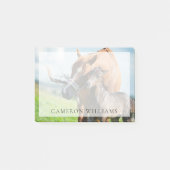 Niedliche Kleintiere | Schwarzer Fohlen mit Mama Post-it Klebezettel (Vorderseite)