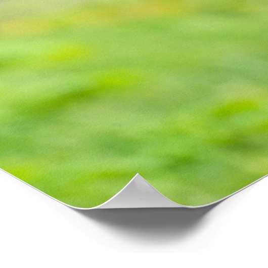 Niedliche Kleintiere | Schwarzer Fohlen mit Mama Poster (Ecke)