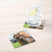 Niedliche Kleintiere | Schwarzer Fohlen mit Mama Rechteckiger Pappuntersetzer (Vor Ort)