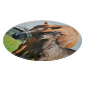 Niedliche Kleintiere | Schwarzer Fohlen mit Mama Schneidebrett (Ecke)