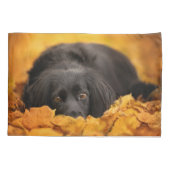 Niedliche Kleintiere | Schwarzer Spanierwelpen Kissenbezug (Rückseite)