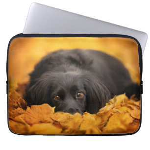 Niedliche Kleintiere   Schwarzer Spanierwelpen Laptopschutzhülle