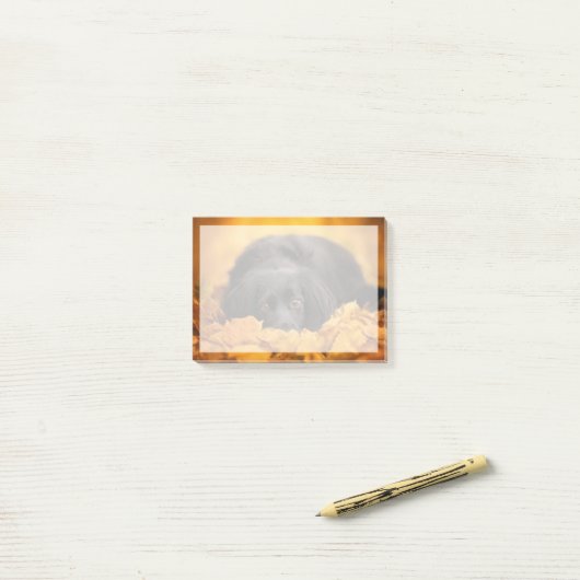 Niedliche Kleintiere | Schwarzer Spanierwelpen Post-it Klebezettel (Auf Schreibtisch)