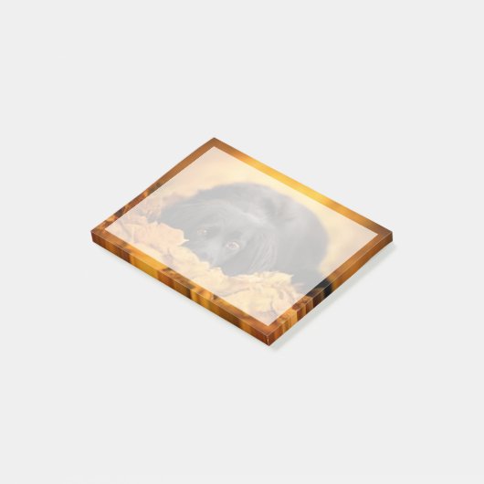 Niedliche Kleintiere | Schwarzer Spanierwelpen Post-it Klebezettel (angewinkelt)