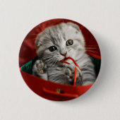 Niedliche Kleintiere | Scottish Fold Kitten Button (Vorderseite)