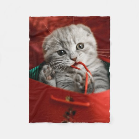 Niedliche Kleintiere | Scottish Fold Kitten Fleecedecke (Vorderseite)