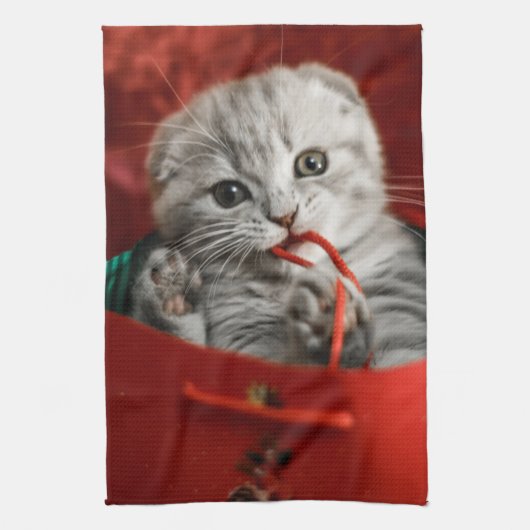 Niedliche Kleintiere | Scottish Fold Kitten Geschirrtuch (Vertikal)