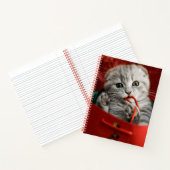 Niedliche Kleintiere | Scottish Fold Kitten Notizblock (Innenseite)
