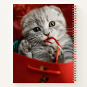 Niedliche Kleintiere | Scottish Fold Kitten Notizblock (Rückseite)
