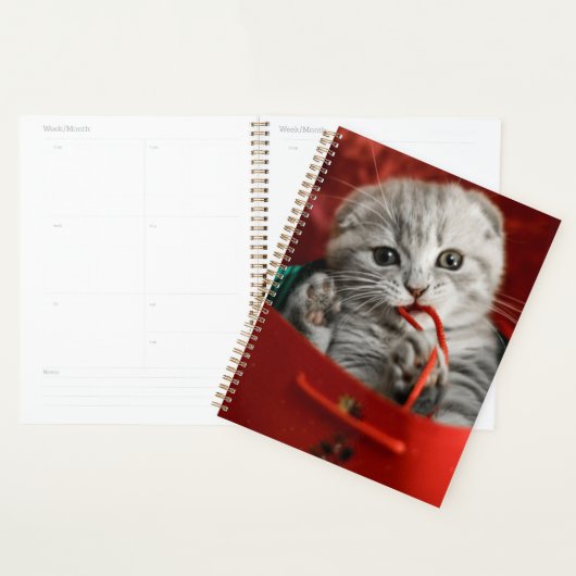 Niedliche Kleintiere | Scottish Fold Kitten Planer (Anzeige)