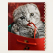 Niedliche Kleintiere | Scottish Fold Kitten Planer (Rückseite)