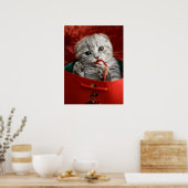 Niedliche Kleintiere | Scottish Fold Kitten Poster (Küche)