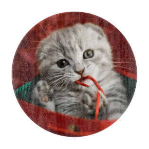 Niedliche Kleintiere   Scottish Fold Kitten Schneidebrett