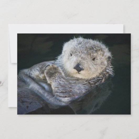 Niedliche Kleintiere | Sea Otter Floating Dankeskarte (Vorderseite)