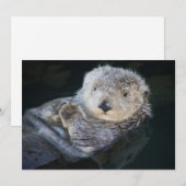 Niedliche Kleintiere | Sea Otter Floating Dankeskarte (Vorne/Hinten)