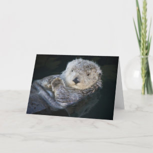 Niedliche Kleintiere   Sea Otter Floating Karte