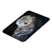 Niedliche Kleintiere | Sea Otter Floating Magnet (Linke Seite)