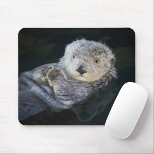 Niedliche Kleintiere   Sea Otter Floating Mousepad