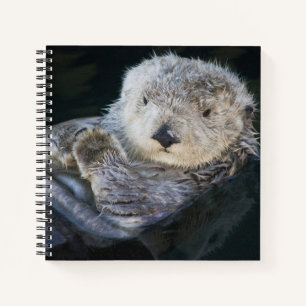 Niedliche Kleintiere   Sea Otter Floating Notizblock