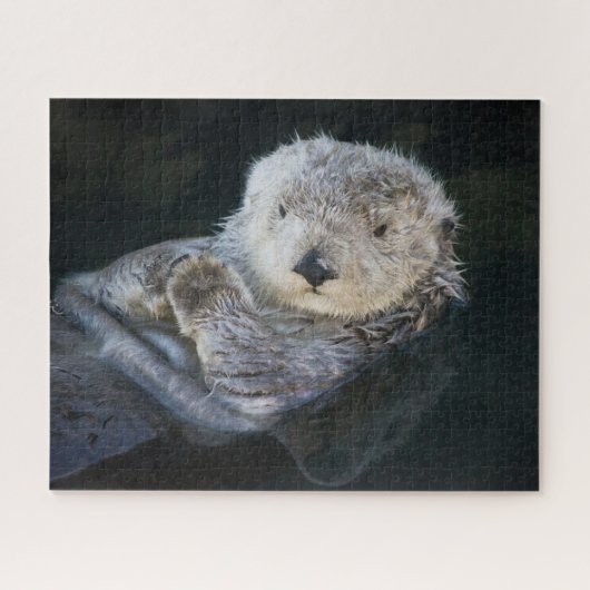 Niedliche Kleintiere | Sea Otter Floating Puzzle (Horizontal)
