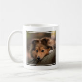 Niedliche Kleintiere | Shetland Sheepdog Welppy Kaffeetasse (Links)