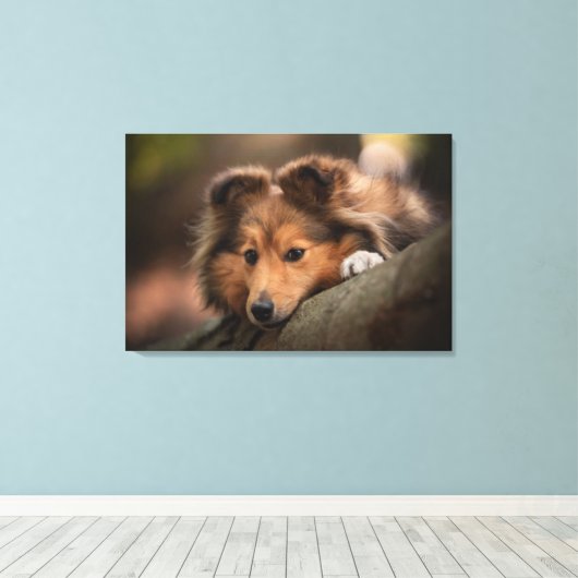 Niedliche Kleintiere | Shetland Sheepdog Welppy Leinwanddruck (Insitu (Holzboden))