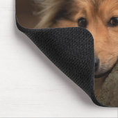 Niedliche Kleintiere | Shetland Sheepdog Welppy Mousepad (Ecke)